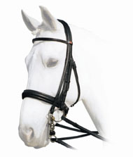 Albion%20KB%20Super%20Weymouth%20Bridle